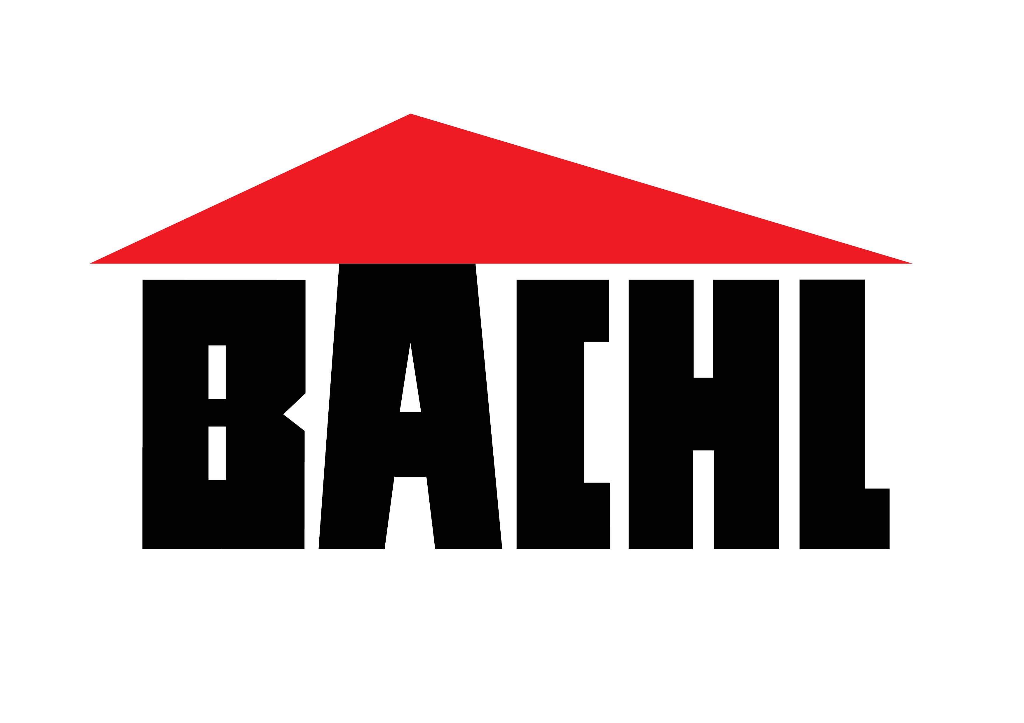 Bachl GmbH & Co. KG